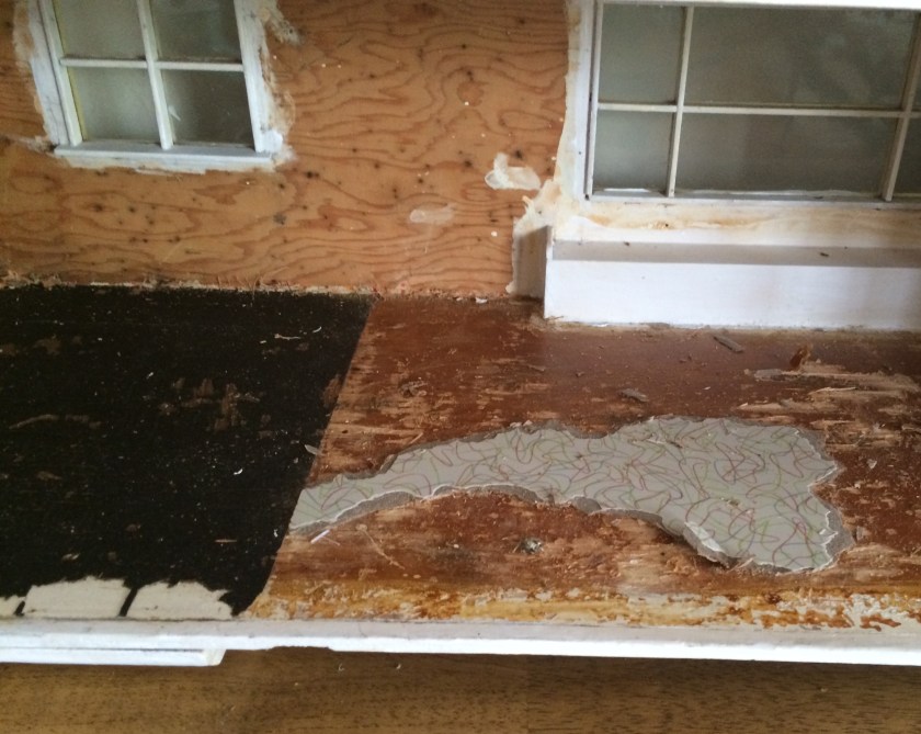 Stubborn floor. Photo by Holly Tierney-Bedord. All rights reserved.