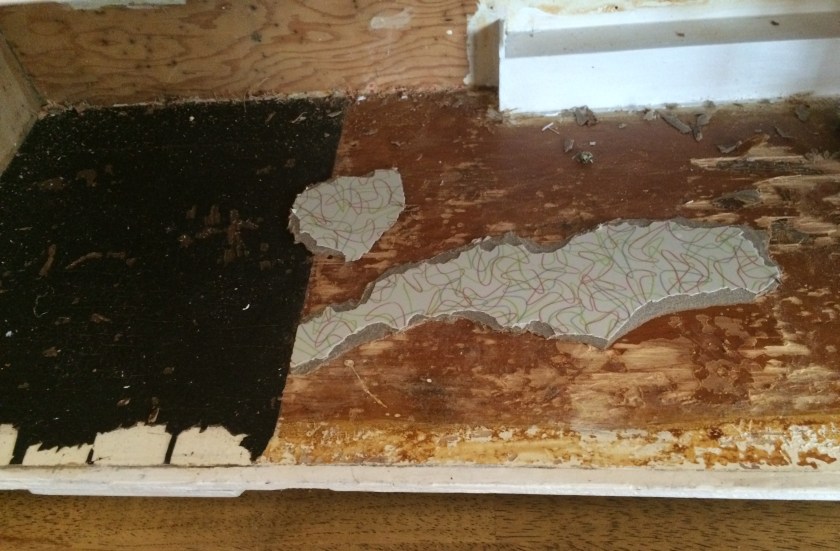 Like Pangaea breaking apart. Photo by Holly Tierney-Bedord. All rights reserved.