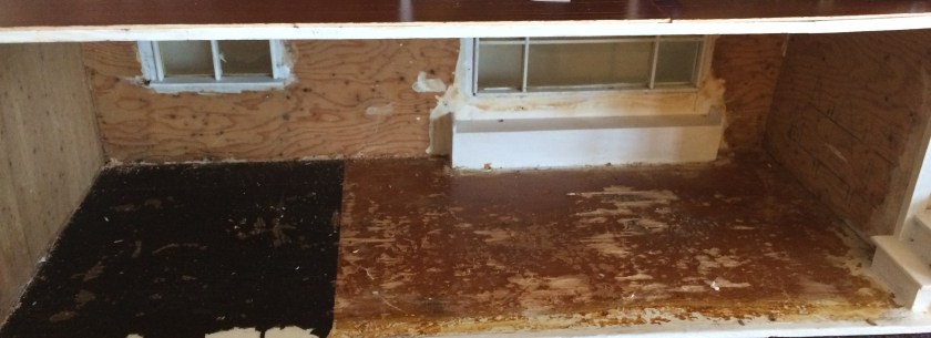 Ready for new floors to be installed! Photo by Holly Tierney-Bedord. All rights reserved.