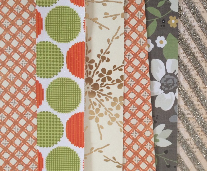 Wallpaper choices. Photo by Holly Tierney-Bedord. All rights reserved.