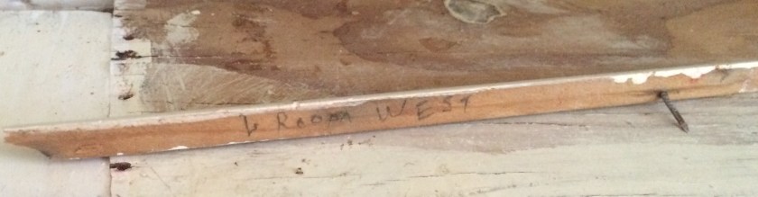 Trim with notes. Photo by Holly Tierney-Bedord. All rights reserved.