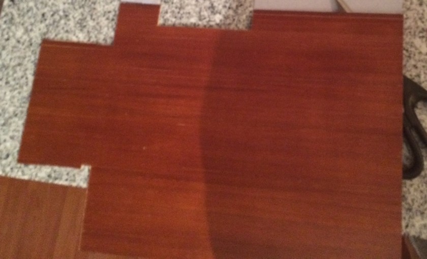 Photo by Holly Tierney-Bedord. All rights reserved.